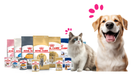 Royal Canin